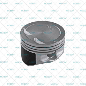 PISTON PARA MOTOR CHRYSLER-DODGE-HYUNDAI ACCENT 1007-030