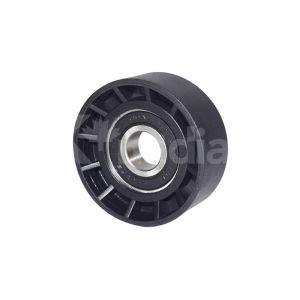 POLEA RENAULT CLIO SPORT 120036-KN