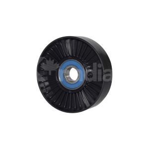 POLEA CHRYSLER-DODGE-HYUNDAI CROSSFIRE 120487-KN