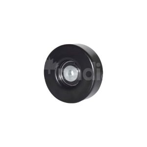 POLEA CHRYSLER-DODGE-HYUNDAI 300 M 128042-KN