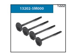 VALVULA PARA MOTOR 13202-5M000-ASIA