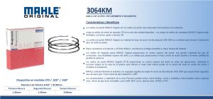 ANILLOS PARA PISTON MAZDA B2600 3064KM-030