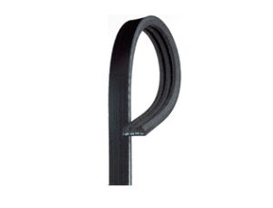 BANDA MICRO V-SERPENTINA 3PK0796SF